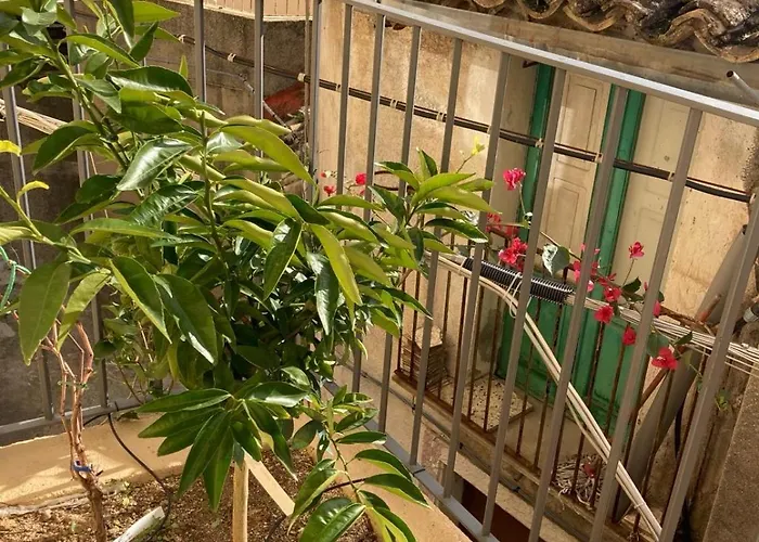 Apartman Nina's House , Nonna Lucia Badolato Marina