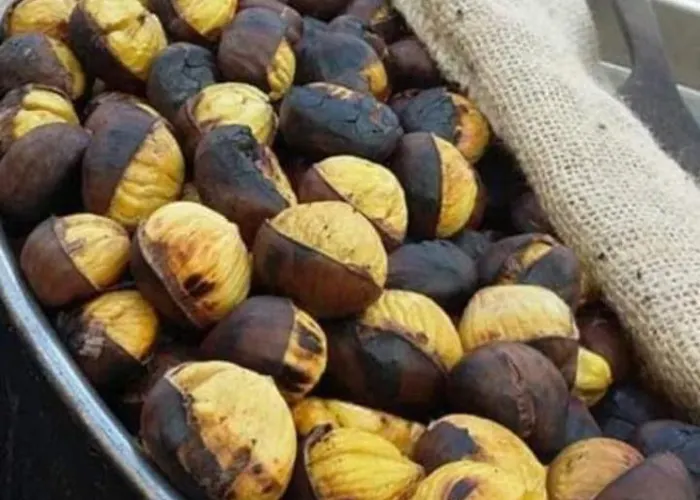 Nina's House , Nonna Lucia Apartman Badolato Marina