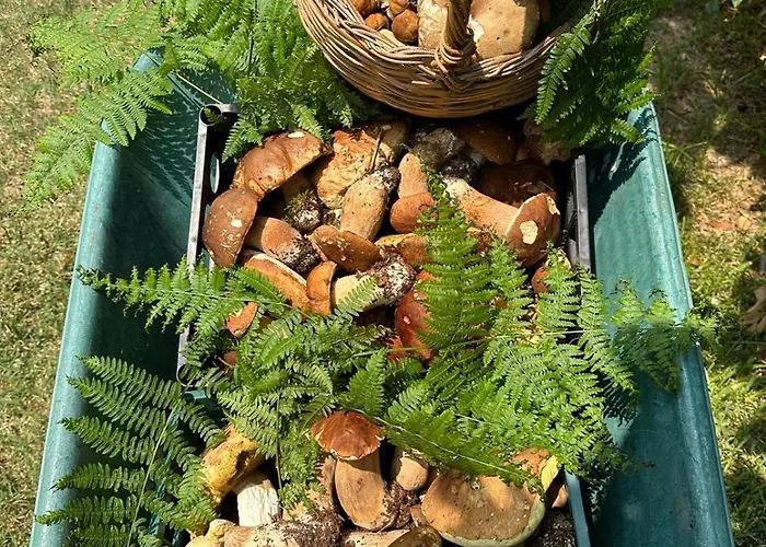 Nina's House , Nonna Lucia Apartman